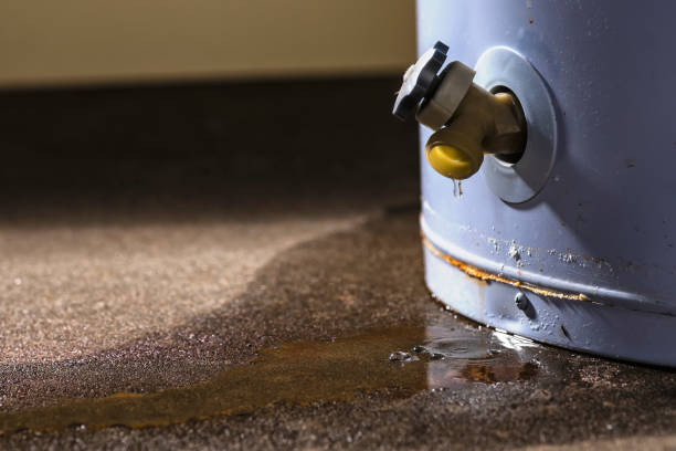 Best Basement water damage restoration  in Grand Terrace, CA