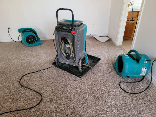 Water damage restoration insurance claims in Grand Terrace, CA