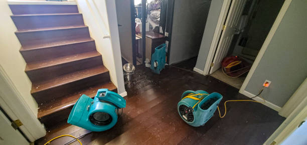 Best Water damage restoration services  in Grand Terrace, CA