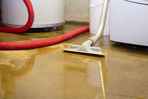 Best Water damage restoration near me  in Grand Terrace, CA
